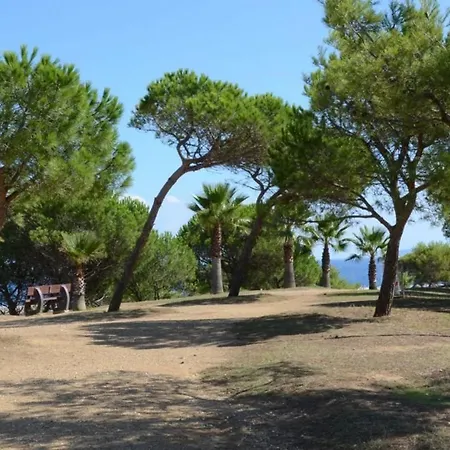 Bormes-les-mimosas, 2 Pieces, 4 Personnes - Fr-1-251-650 Apartmán Bormes-les-Mimosas